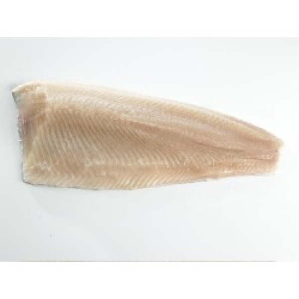 FILET D' OMBLE CHEVALIER COLIS DE 1KG