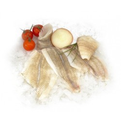 FILET DE MERLAN 100/200 LOT DE 1KG