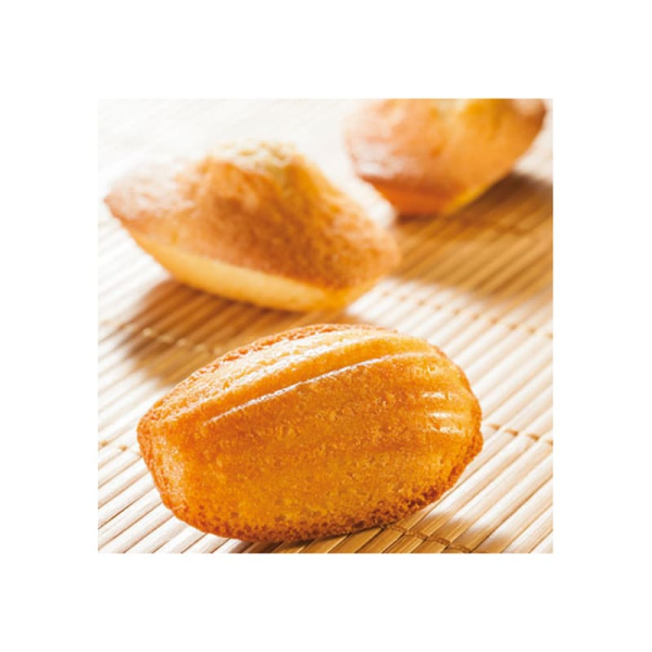 Moule 40 madeleines