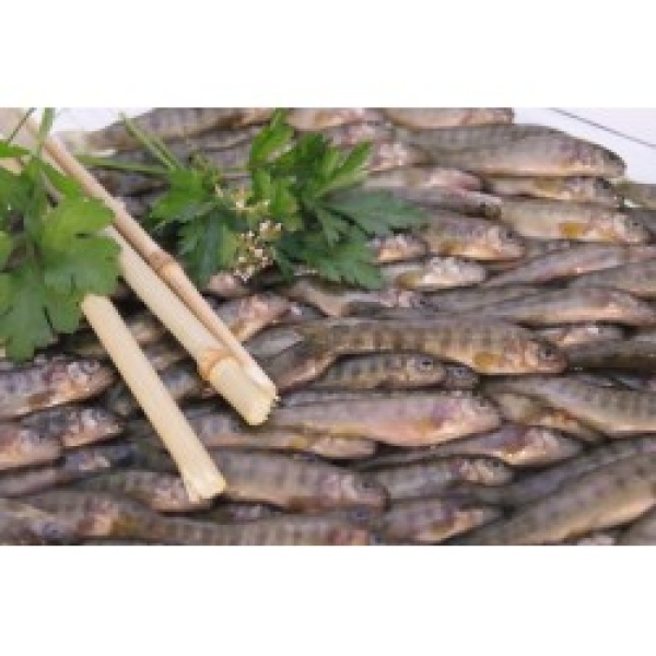 FRITURE DE TRUITE LOT DE 2KG