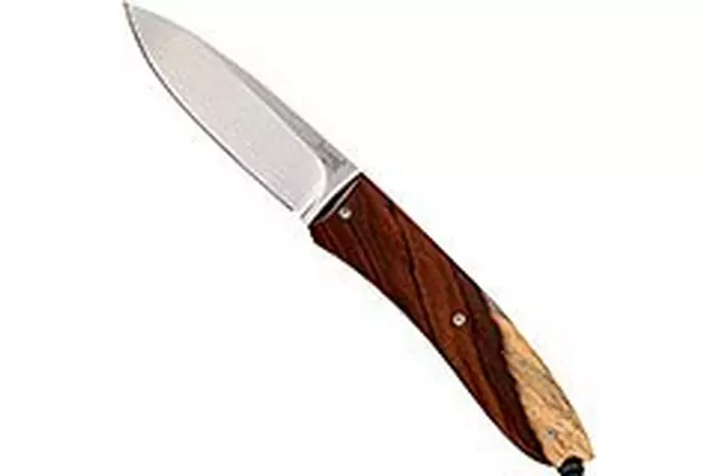 LionSteel Big Opera, 8810 ST, Santos