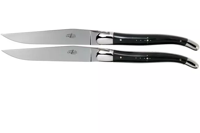 Forge de Laguiole T22MINBF corne polie set de 2 couteaux à steak