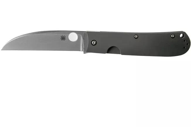 Couteau de poche Spyderco SwayBack C249TIP, design Marcin Slysz