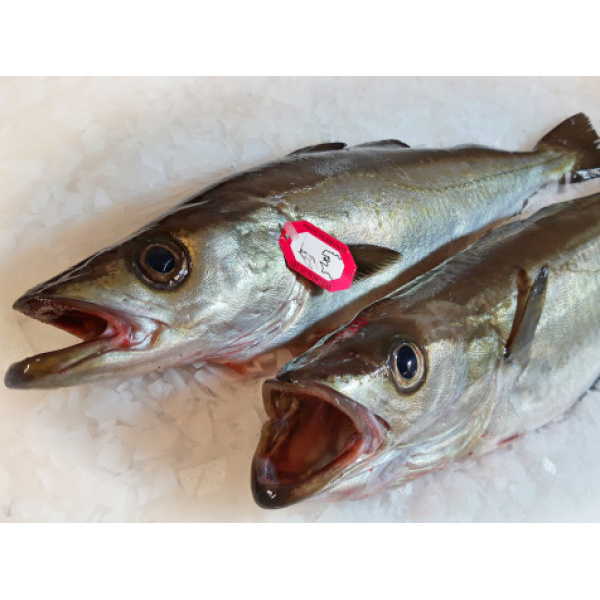 Lieu Jaune Vidé 1,5kg