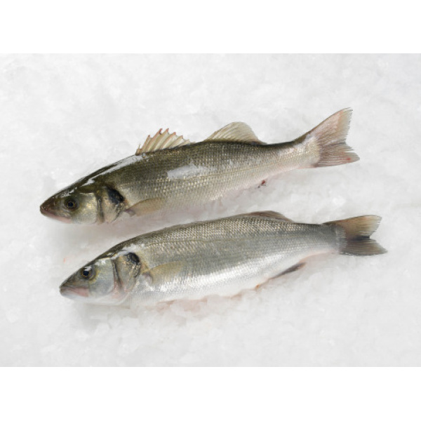 Loup De Mer