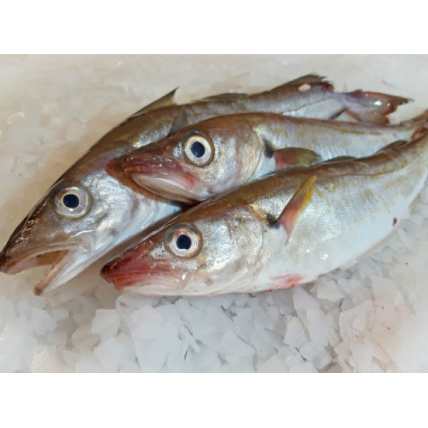 Merlan Vidé Lot De 1kg - 1/300g Par Pièce