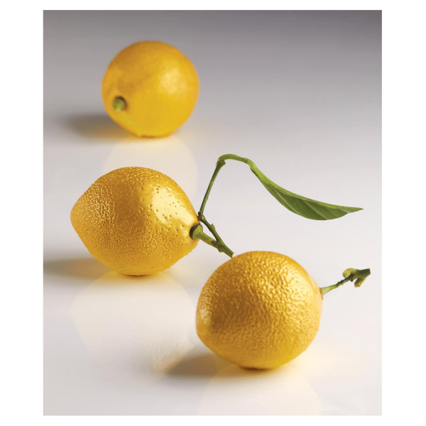 Moule silicone 3D Citron format individuel