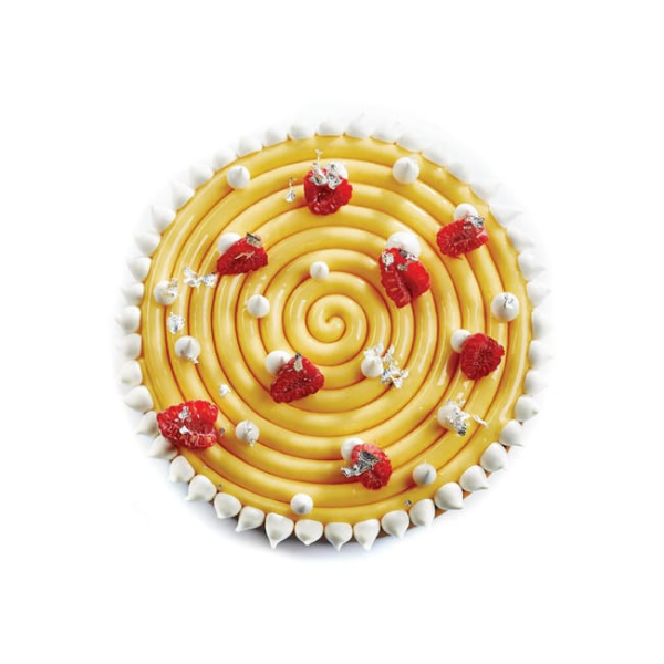 Moule silicone spirale Ipnosi