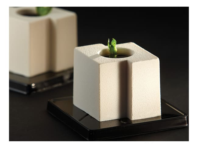 Pavoflex moule 24 cubes tekno
