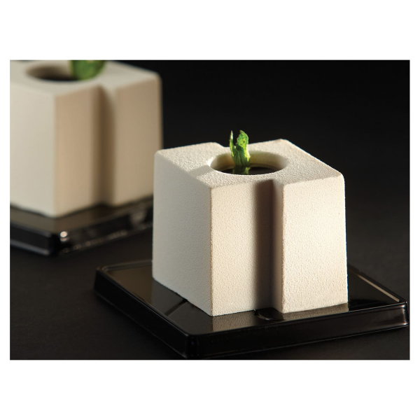 Pavoflex moule 24 cubes tekno