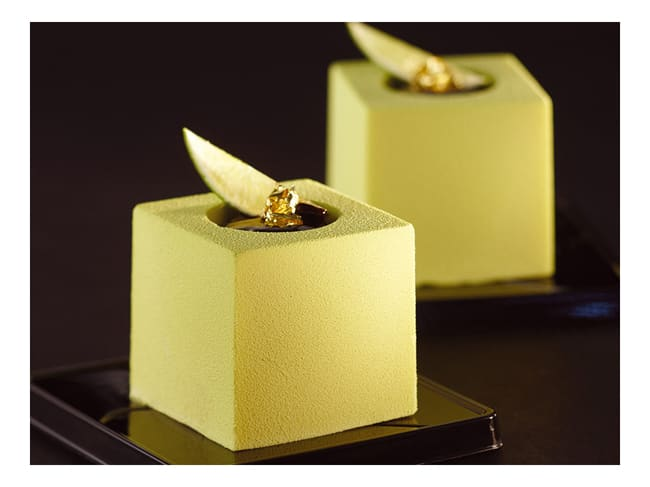 Pavoflex moule 24 spirales