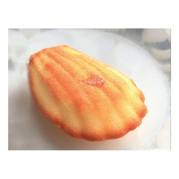 Pavoflex moule 44 madeleines