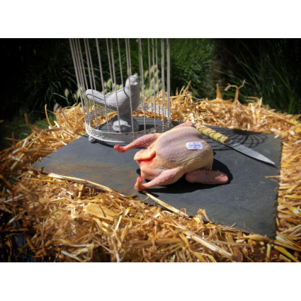 Lot de 4 Pigeonneaux Prêts à Cuire