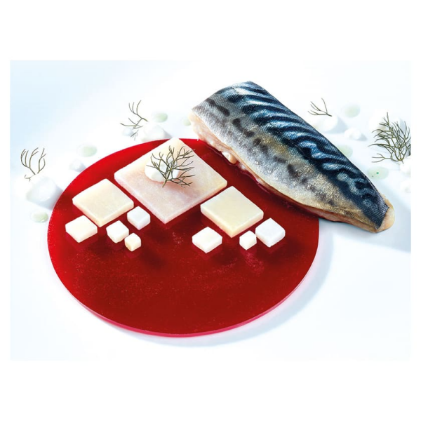 Plaque silicone 6 empreintes grand disque