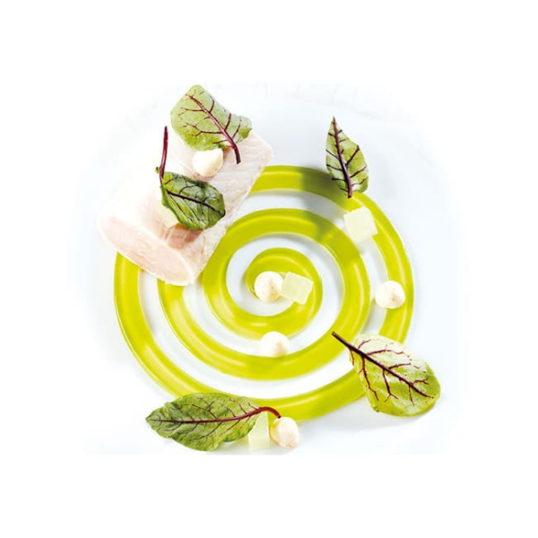 Plaque silicone 6 empreintes rond spirale