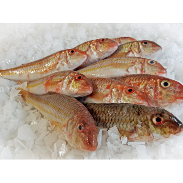 Rouget Barbet Lot De 1kg (300/500g Par Piece)