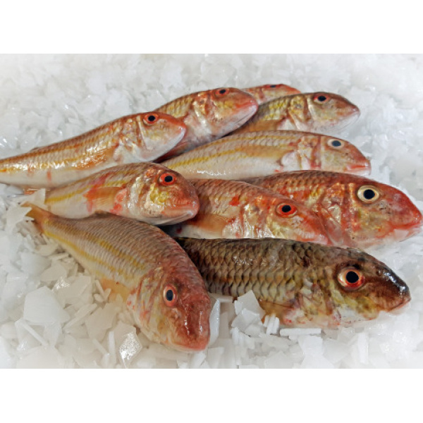 Rouget Barbet Lot De 1kg (2 À 300g Par Pièce)