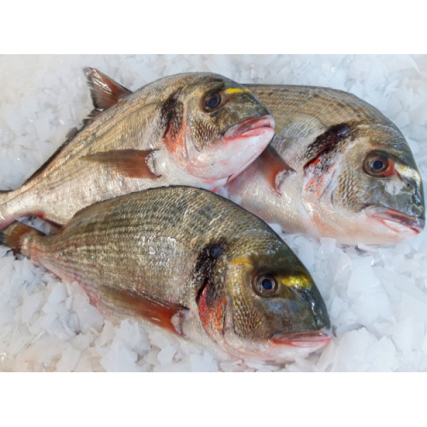 Dorade Royale Vidée 1kg