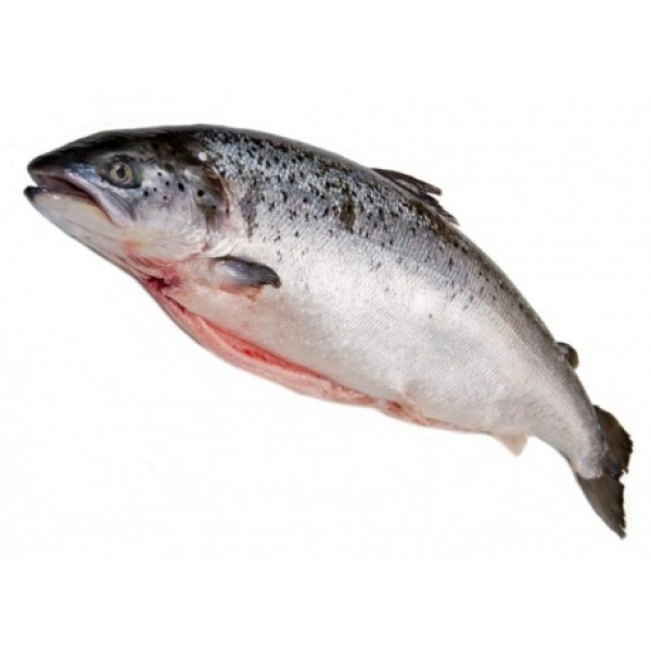 SAUMON ÉCOSSAIS LABEL ROUGE - PIÈCE DE 3KG