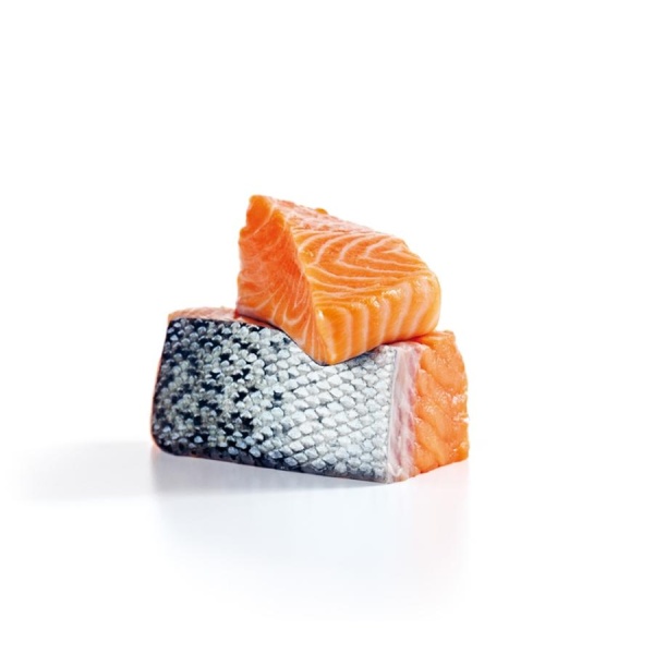 Le filet de Saumon Ora King