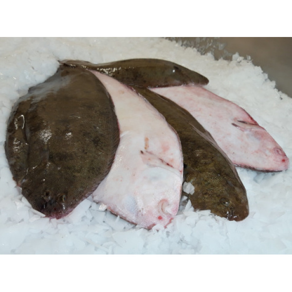 Sole Vidée 500g