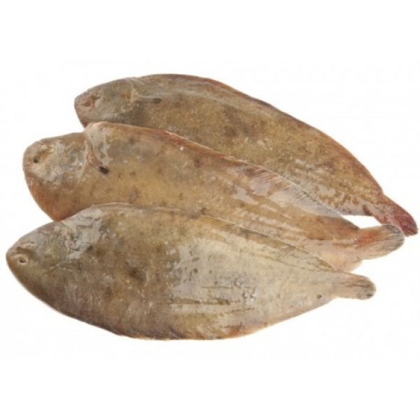 SOLE ENTIÈRE VIDÉE - PIÈCE DE 250G